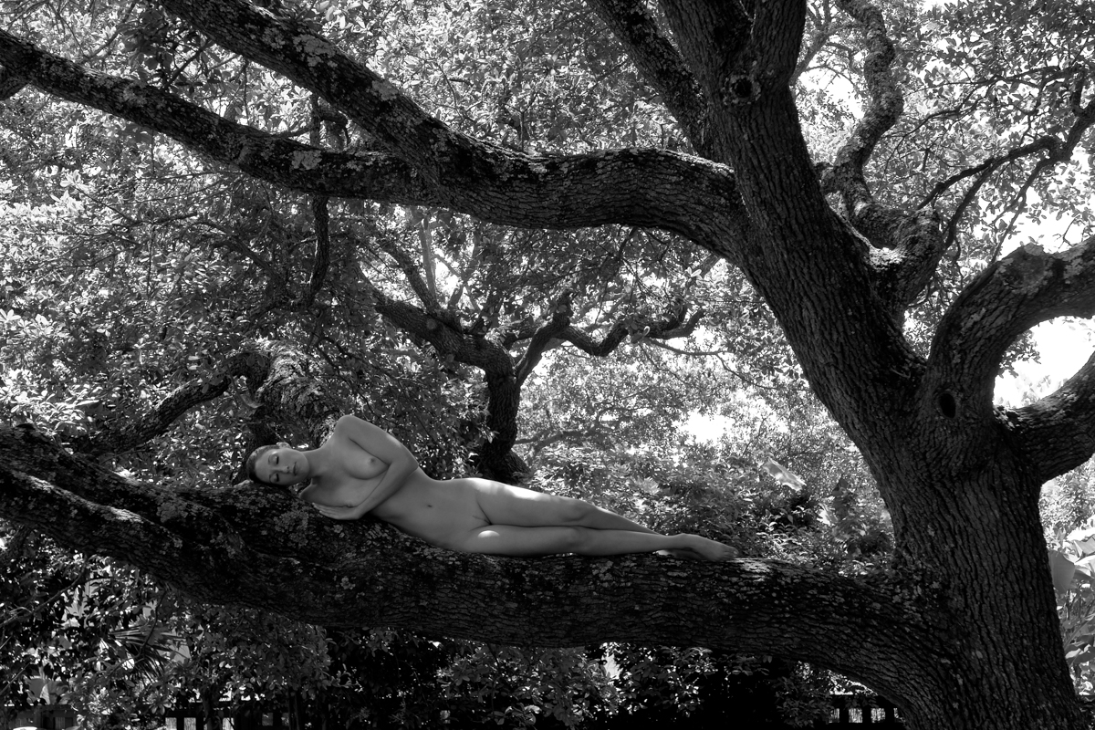 Body of Light, Fine art nudes, Studio nudes, Naked black and white photos, film photography, studio images, BW nude, South Carolina, female form, nude in nature