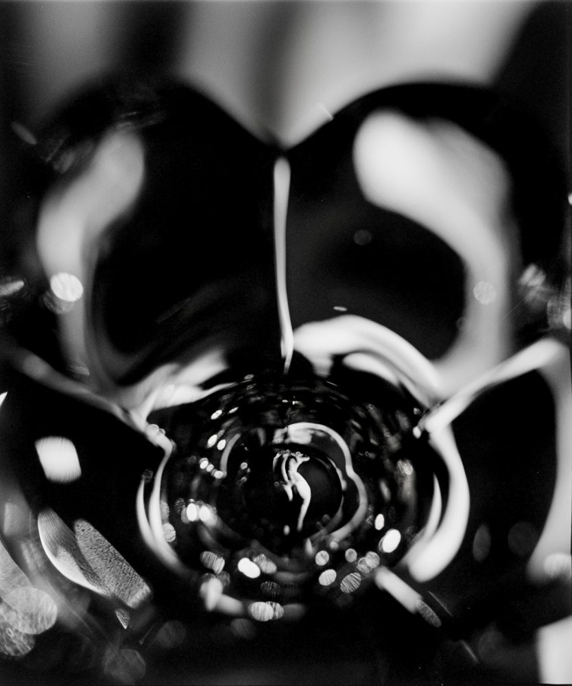 Black and white nudes, fine art photography, nude art prints, bw fine art, refraction, reflection, in glass, female, flower petal glass